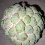 Features, Products & Services anon