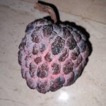 Features, Products & Services anon morada