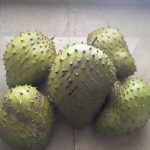 Features, Products & Services guanabana