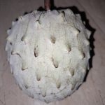 Features, Products & Services ilama