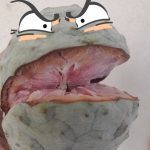 Features, Products & Services ilama brava