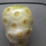 Features, Products & Services noni