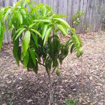 Features, Products & Services pickering