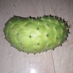 Features, Products & Services soursop