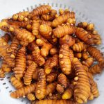 Features, Products & Services turmeric